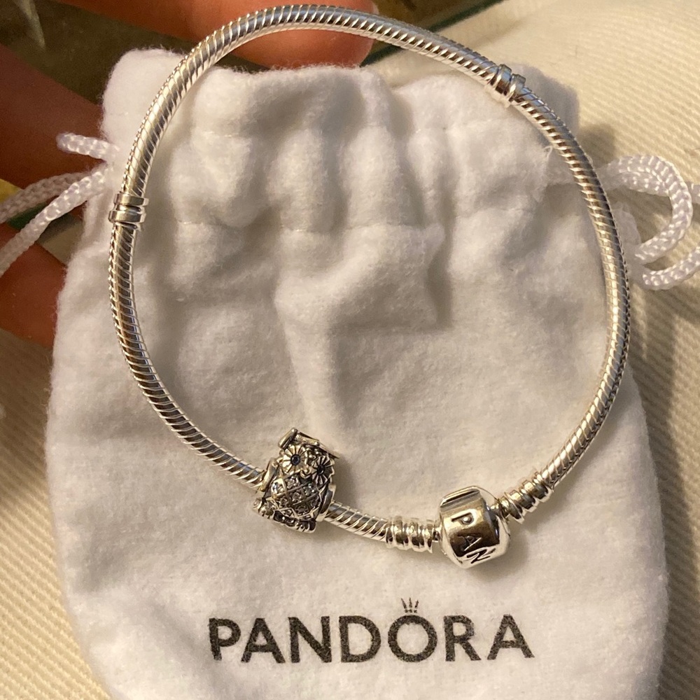 Pandora bracelet with graduation owl charm